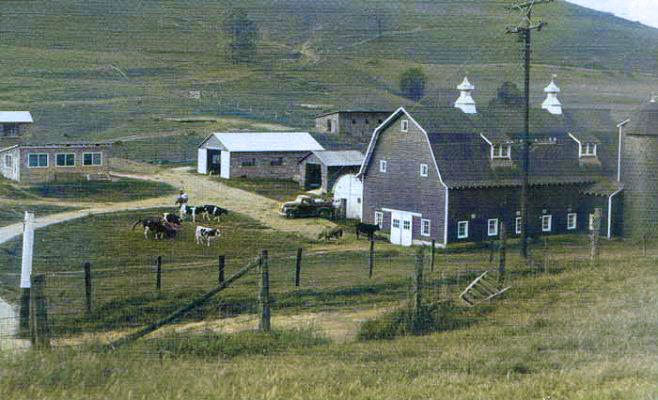 Glenville State Farm